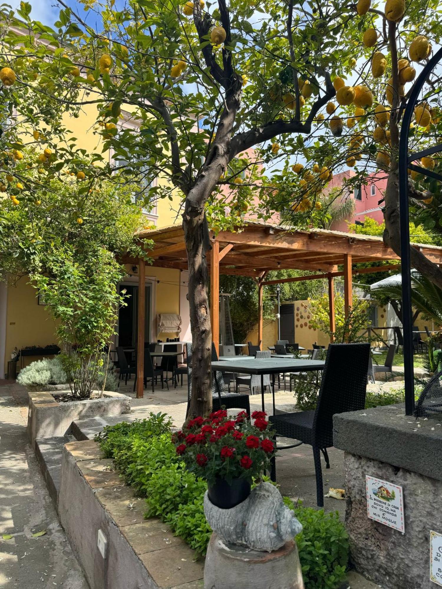 Palazzo Bonaventura 1906 Bed and Breakfast Forio di Ischia Εξωτερικό φωτογραφία